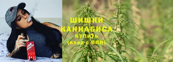 дмт Зеленодольск