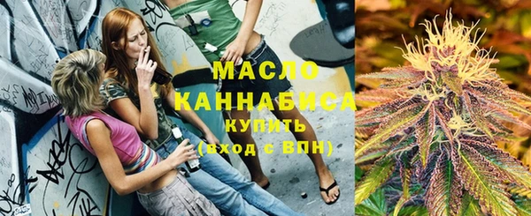 дмт Зеленодольск