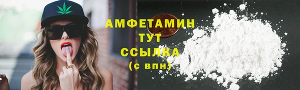 прущие грибы Инсар
