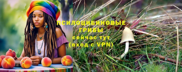 стафф Иннополис