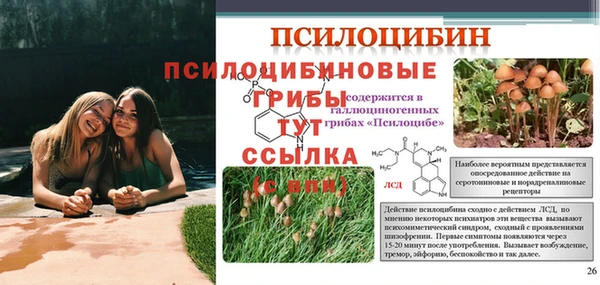 гидропоника Зеленокумск