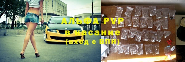 стафф Иннополис