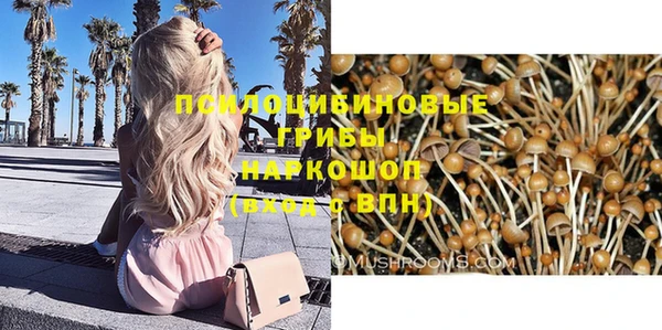 стафф Иннополис